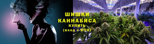 твердый Богданович