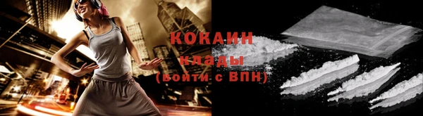 твердый Богданович