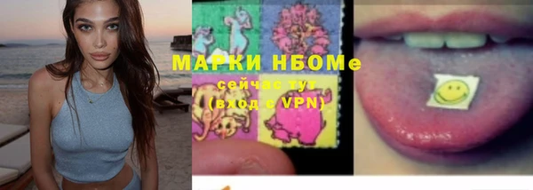 гашик Богородицк
