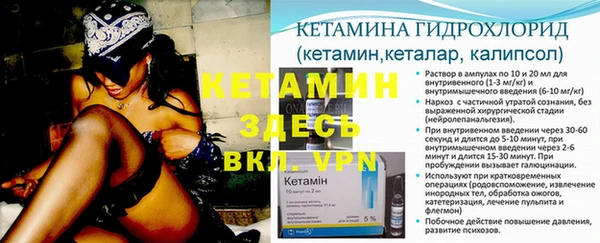 твердый Богданович