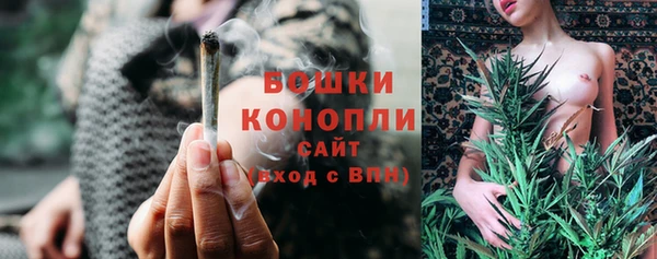 гашик Богородицк