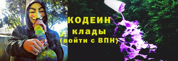 твердый Богданович