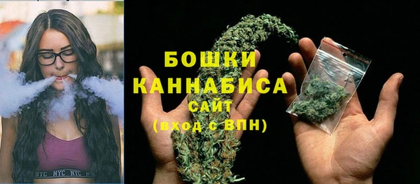 гашик Богородицк