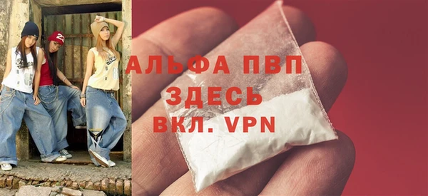 твердый Богданович