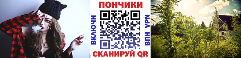 Бошки марихуана марихуана продажа наркотиков Нелидово